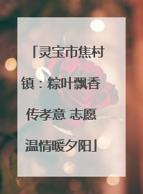 灵宝市焦村镇：粽叶飘香传孝意 志愿温情暖夕阳
