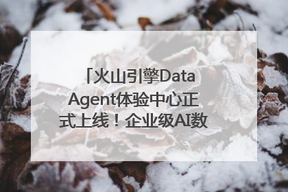 火山引擎Data Agent体验中心正式上线！企业级AI数据专家触手可及