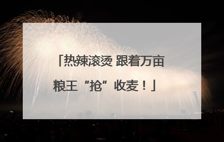 热辣滚烫 跟着万亩粮王“抢”收麦！