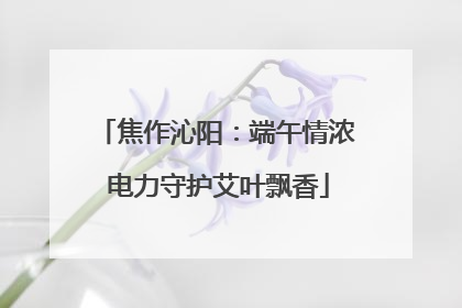 焦作沁阳：端午情浓 电力守护艾叶飘香