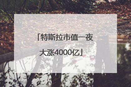 特斯拉市值一夜大涨4000亿