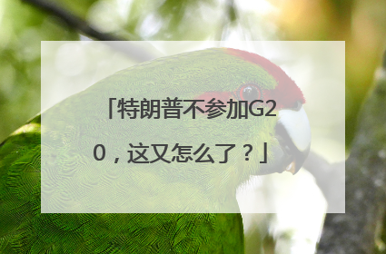 特朗普不参加G20，这又怎么了？