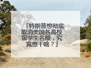 特朗普想彻底取消美国各高校留学生名额，究竟想干啥？