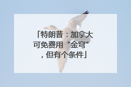 特朗普：加拿大可免费用“金穹”，但有个条件