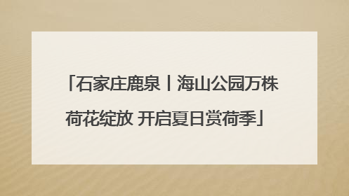 石家庄鹿泉丨海山公园万株荷花绽放 开启夏日赏荷季