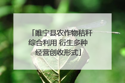 睢宁县农作物秸秆综合利用 衍生多种经营创收形式