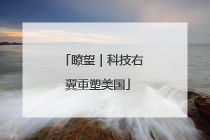 瞭望｜科技右翼重塑美国