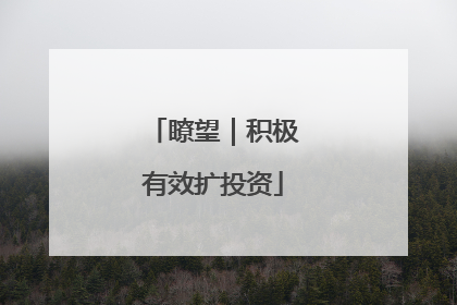 瞭望｜积极有效扩投资