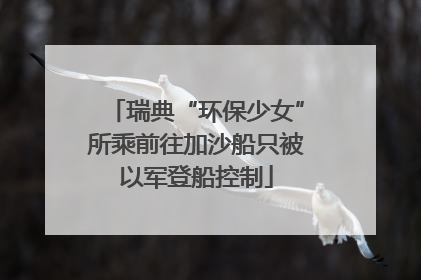 瑞典“环保少女”所乘前往加沙船只被以军登船控制