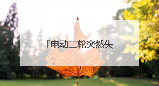 电动三轮突然失控撞向花坛，危急时刻他冲了上去