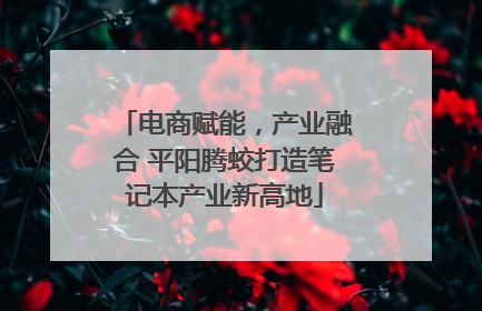 电商赋能，产业融合 平阳腾蛟打造笔记本产业新高地