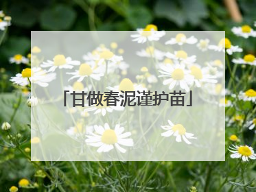 甘做春泥谨护苗