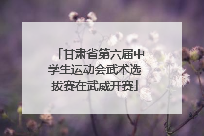 甘肃省第六届中学生运动会武术选拔赛在武威开赛