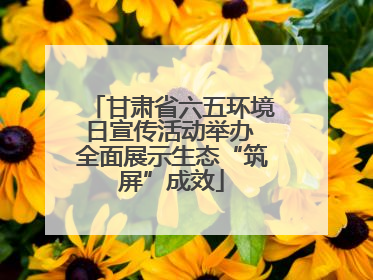 甘肃省六五环境日宣传活动举办 全面展示生态“筑屏”成效