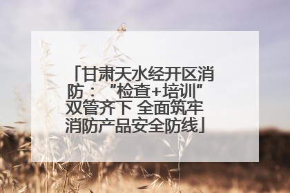 甘肃天水经开区消防：“检查+培训”双管齐下 全面筑牢消防产品安全防线