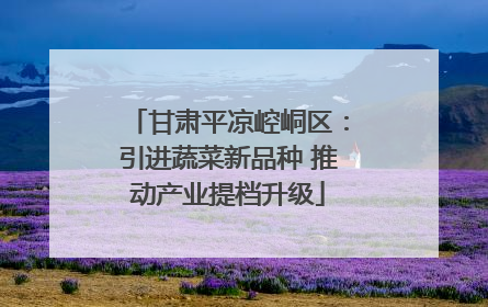 甘肃平凉崆峒区：引进蔬菜新品种 推动产业提档升级