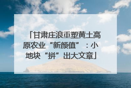 甘肃庄浪重塑黄土高原农业“新颜值”：小地块“拼”出大文章