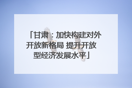 甘肃：加快构建对外开放新格局 提升开放型经济发展水平