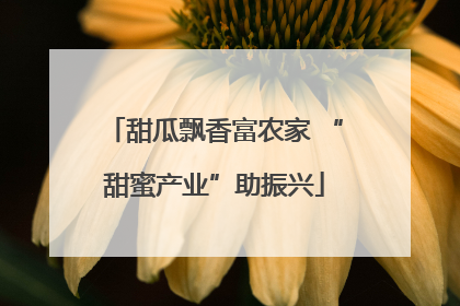 甜瓜飘香富农家 “甜蜜产业”助振兴