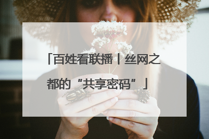 百姓看联播丨丝网之都的“共享密码”