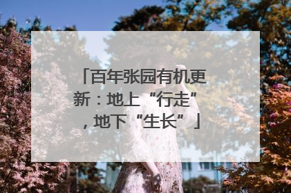百年张园有机更新：地上“行走”，地下“生长”