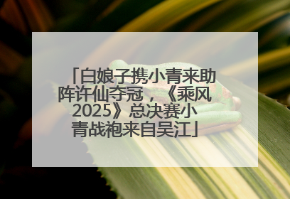 白娘子携小青来助阵许仙夺冠，《乘风2025》总决赛小青战袍来自吴江