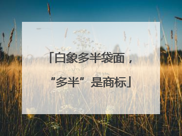 白象多半袋面，“多半”是商标