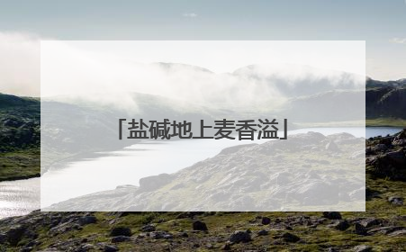 盐碱地上麦香溢