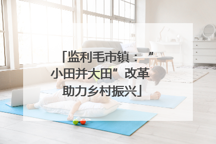 监利毛市镇：“小田并大田”改革 助力乡村振兴