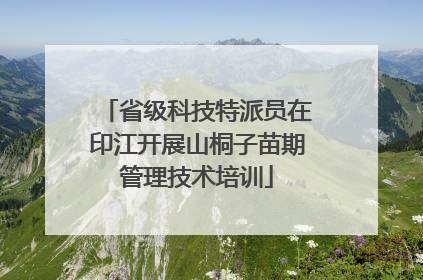 省级科技特派员在印江开展山桐子苗期管理技术培训