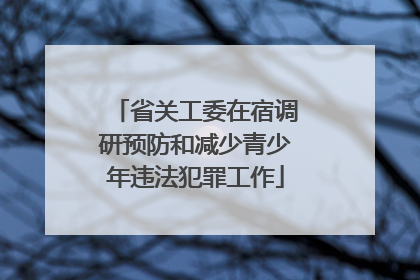 省关工委在宿调研预防和减少青少年违法犯罪工作
