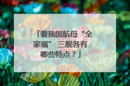 看我国航母“全家福” 三舰各有哪些特点？
