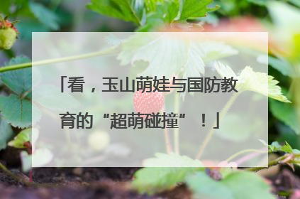看，玉山萌娃与国防教育的“超萌碰撞”！