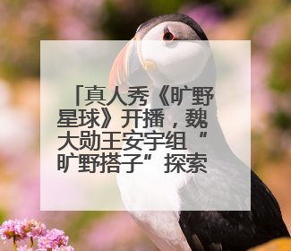 真人秀《旷野星球》开播，魏大勋王安宇组“旷野搭子”探索自然