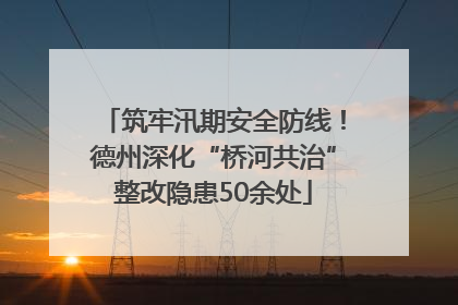 筑牢汛期安全防线！德州深化“桥河共治”整改隐患50余处