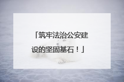 筑牢法治公安建设的坚固基石！