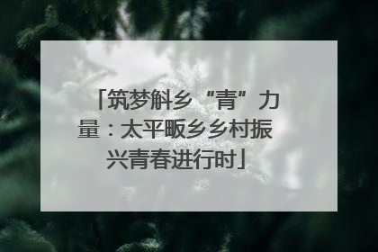筑梦斛乡“青”力量：太平畈乡乡村振兴青春进行时