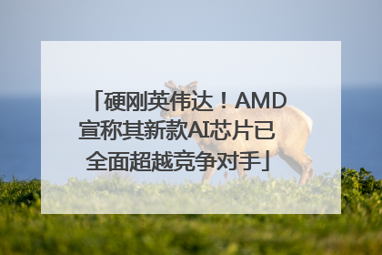 硬刚英伟达！AMD宣称其新款AI芯片已全面超越竞争对手