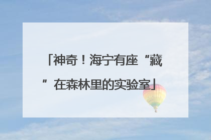 神奇！海宁有座“藏”在森林里的实验室
