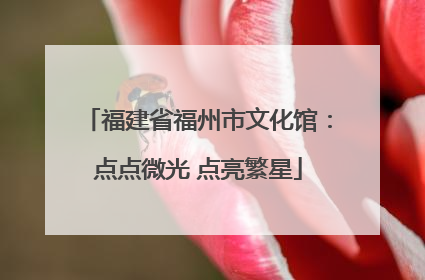 福建省福州市文化馆：点点微光 点亮繁星