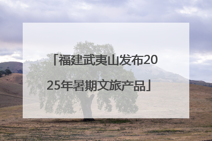 福建武夷山发布2025年暑期文旅产品