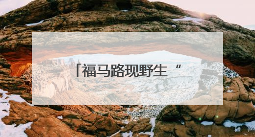 福马路现野生“爱心树”！园林部门：系自然生长，暂不修剪