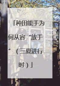 种田能手为何从容“放手”（三夏进行时）