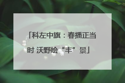 科左中旗：春播正当时 沃野绘“丰”景