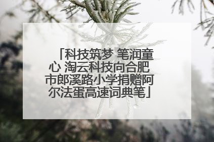 科技筑梦 笔润童心 淘云科技向合肥市郎溪路小学捐赠阿尔法蛋高速词典笔