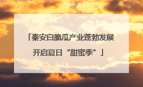 秦安白脆瓜产业蓬勃发展 开启夏日“甜蜜季”