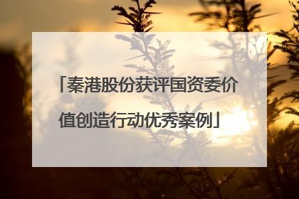 秦港股份获评国资委价值创造行动优秀案例