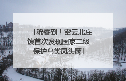 稀客到！密云北庄镇首次发现国家二级保护鸟类凤头鹰