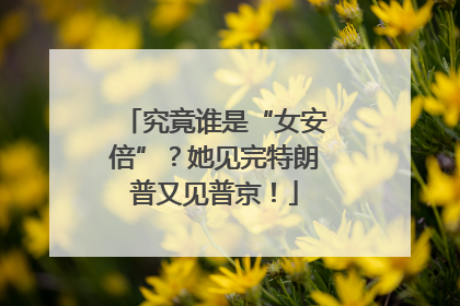 究竟谁是“女安倍”？她见完特朗普又见普京！