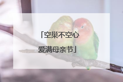 空巢不空心 爱满母亲节